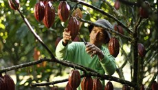 Игнорировать стратегические интересы дружественных стран в ЕАЭС недальновидно