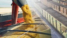 ����������� ���, ������ � ���� � �������� ����������� ����������� ��������� ��������