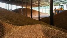 ������� � �����: ������ ����� �������� ����������� ����� ��� ������