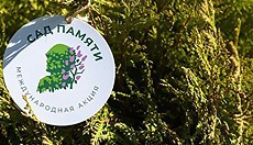 � ����� ���� ������ ������ ������� �� ����� 20 �����