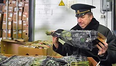 ���� �� ������ ������