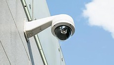 ������� ������������� ��� �� ���������� �������� �� 10 ���� ��� ���� ����